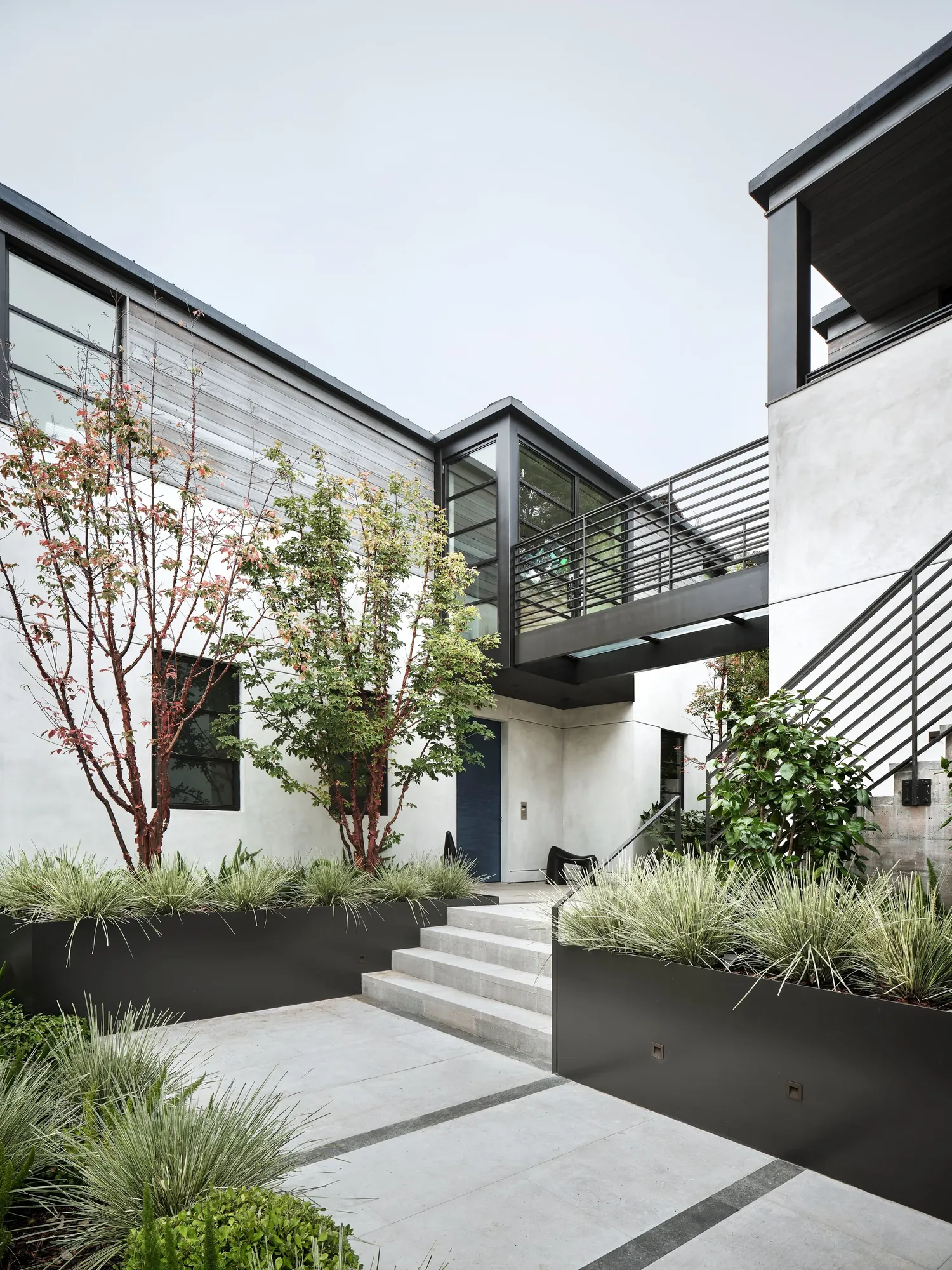 The entry court — paperbark maples and grasses in dark steel planters against the white stucco house and open steel stair