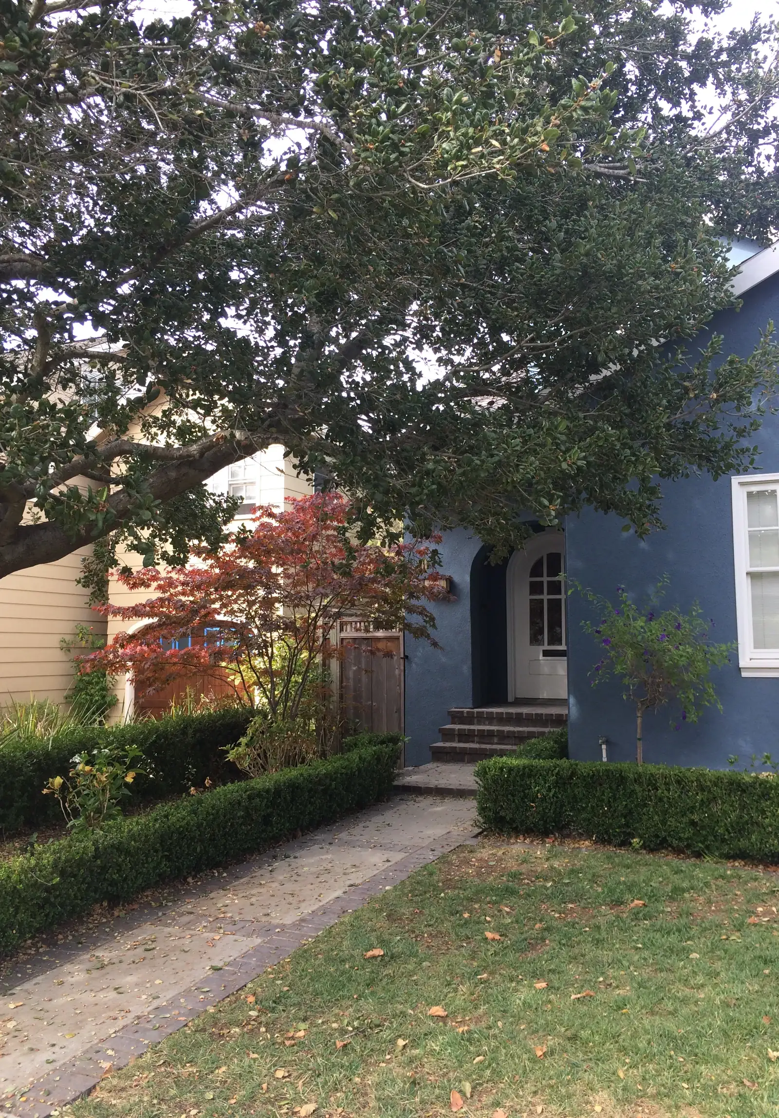 Before photo — the same entry under the live oak, with a clipped boxwood hedge, a worn flagstone and brick walk, and a tired lawn