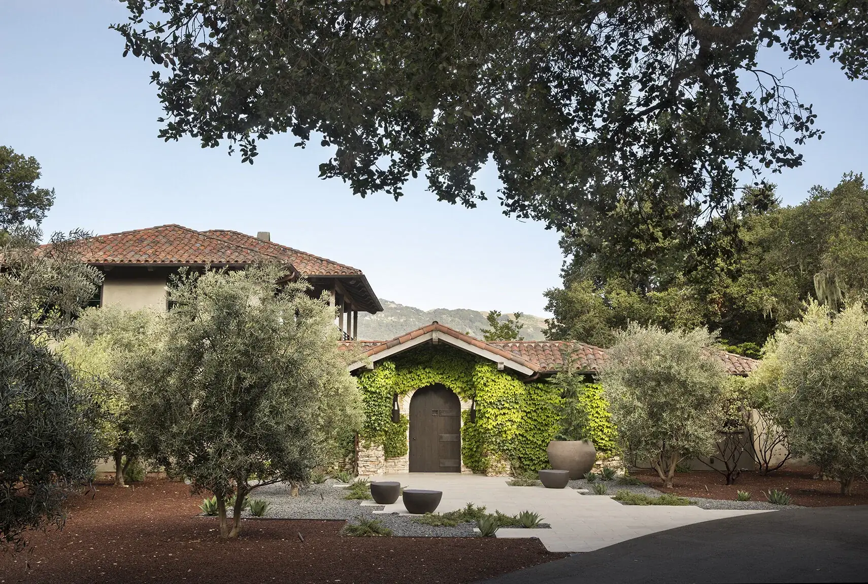 Carmel Contemporary Hacienda — the hacienda's arched entry under a live oak, olives at the gravel arrival court