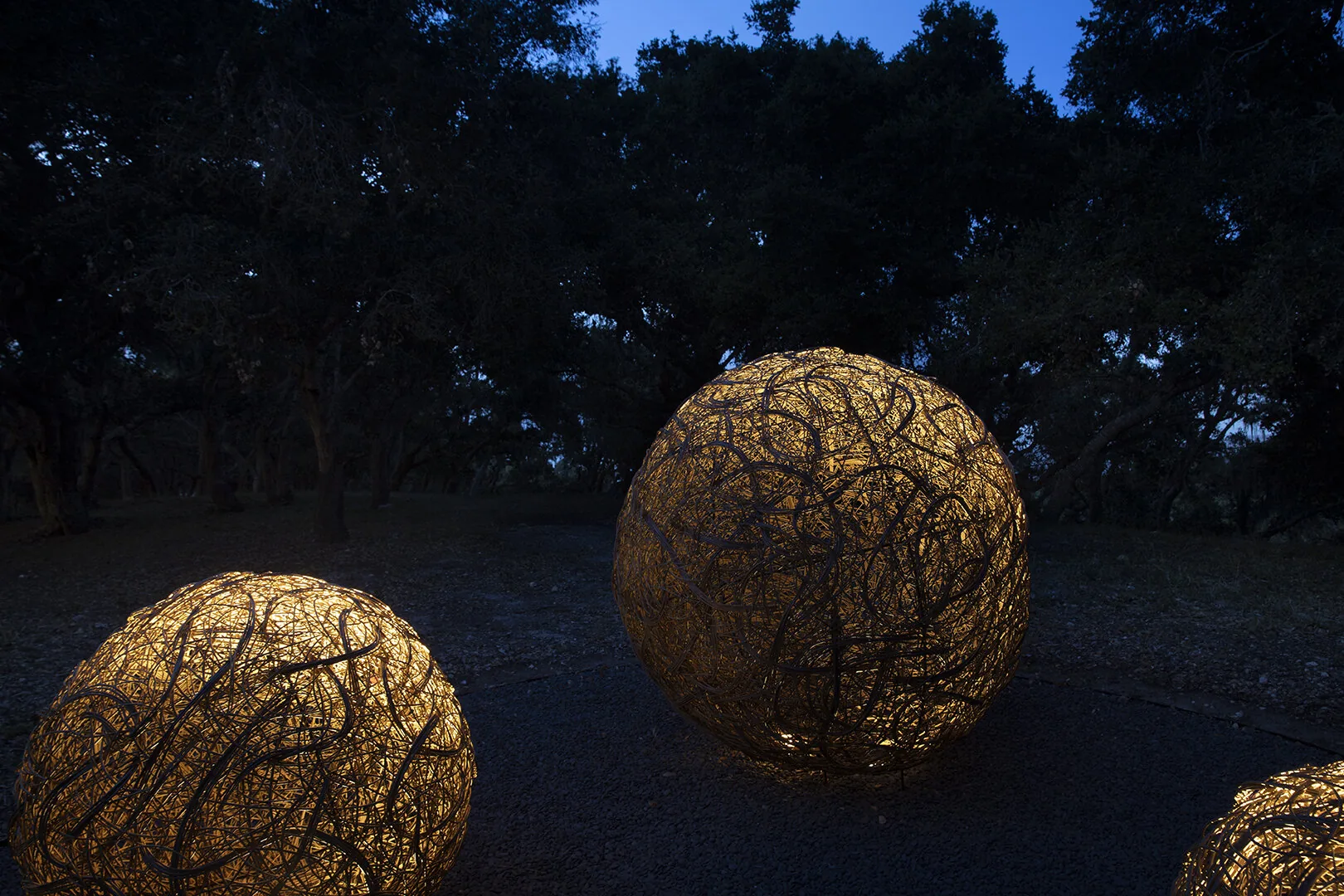 Carmel Contemporary Hacienda — lit twig sphere sculptures in the oak grove after dark