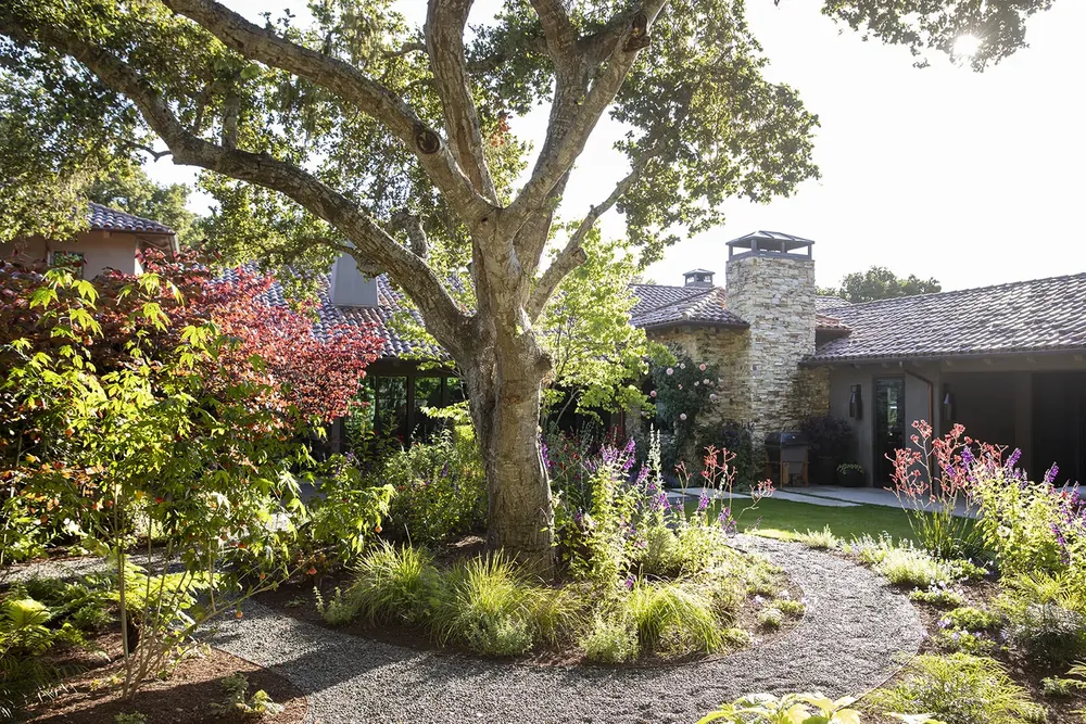 Carmel Contemporary Hacienda — the oak grove garden with gravel paths and drought-tolerant planting