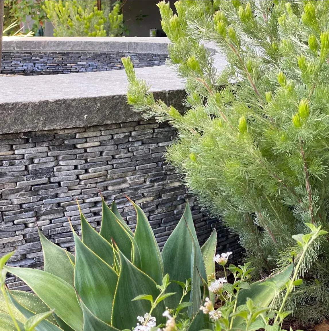 Carmel Contemporary Hacienda — massed agave above the stacked-stone terrace wall