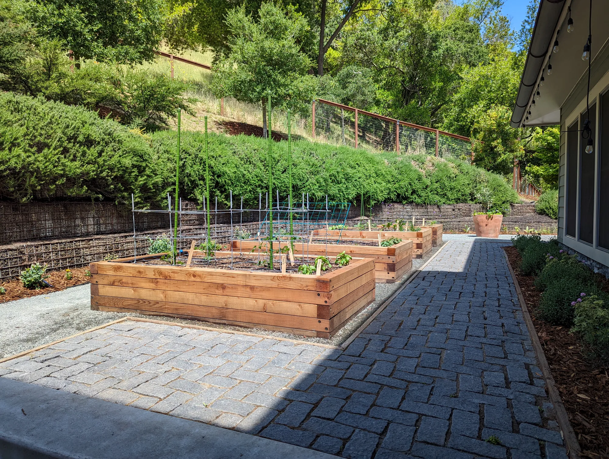 Herringbone cobble path running between the redwood raised beds