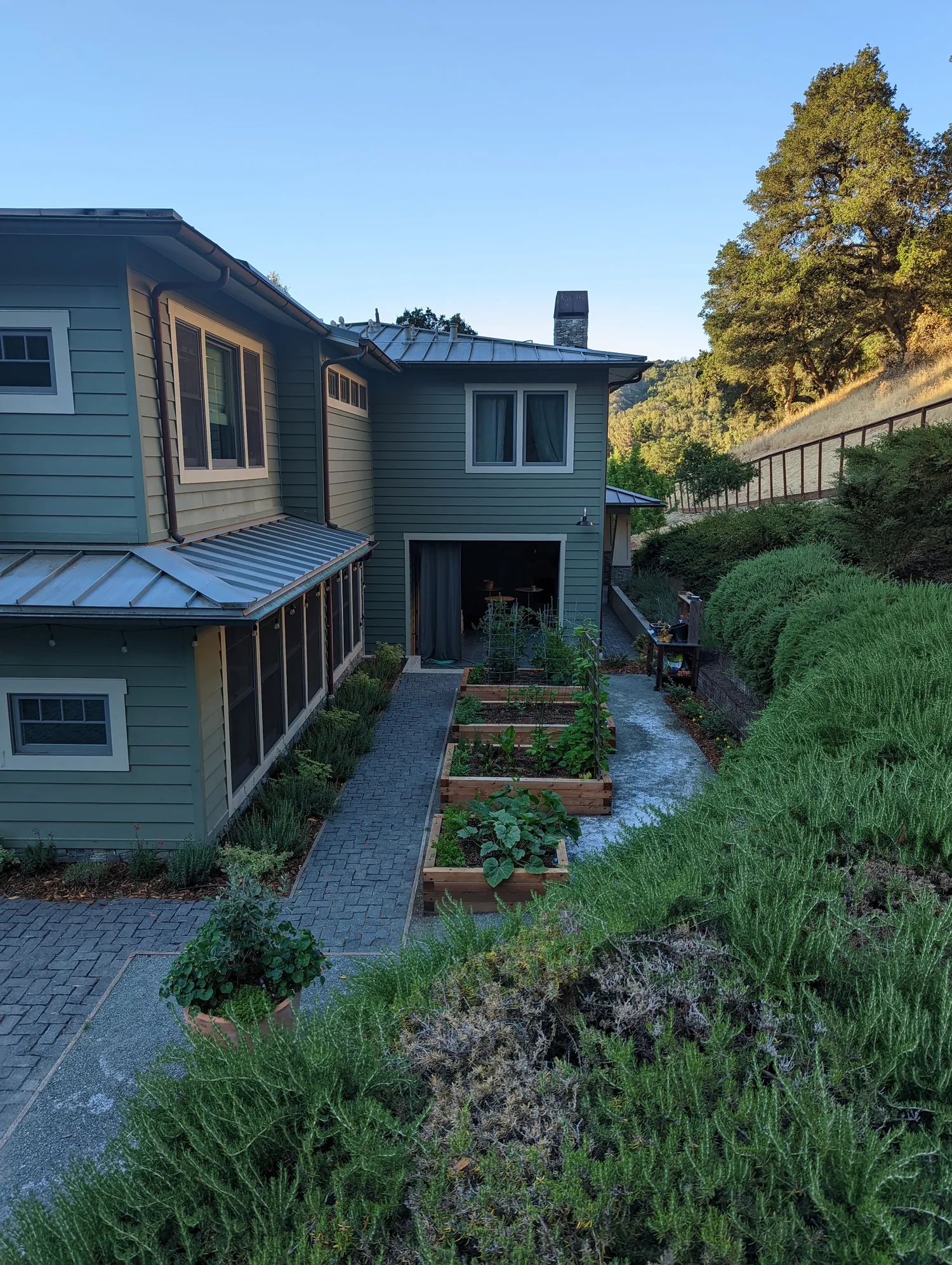 The kitchen garden from above — beds, path, and hillside beyond