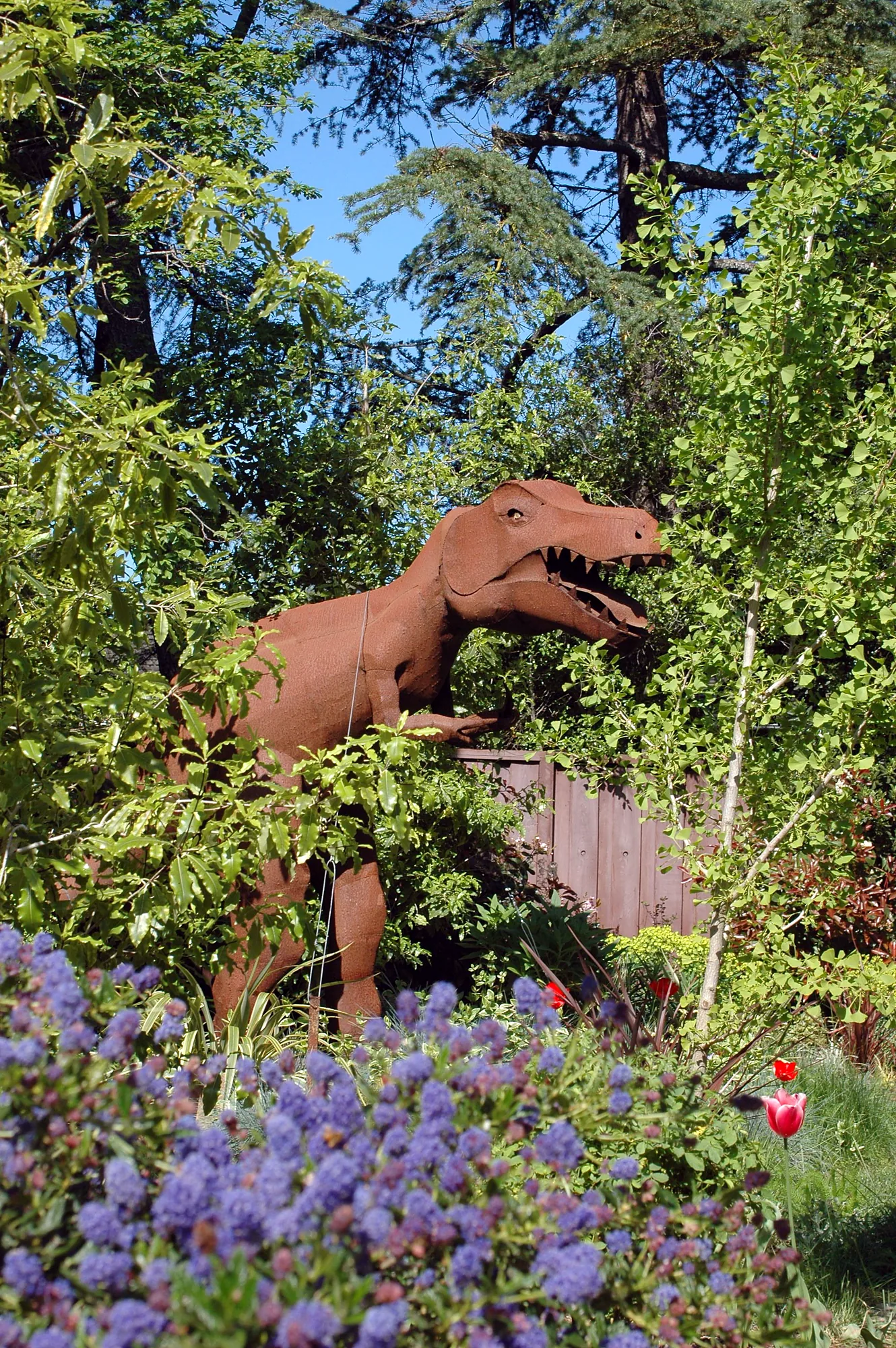 Los Altos family garden — the rusted-steel dinosaur sculpture rising from the planting behind ceanothus in full blue bloom