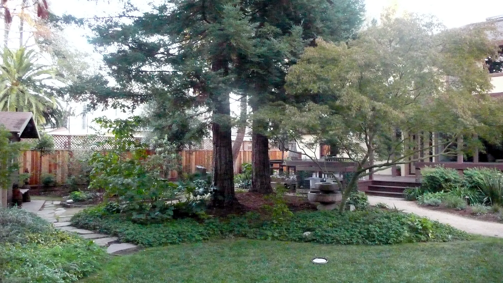 Los Altos family garden — the back garden from the lawn, the redwood and the house deck beyond, a flagstone path curving through the planting