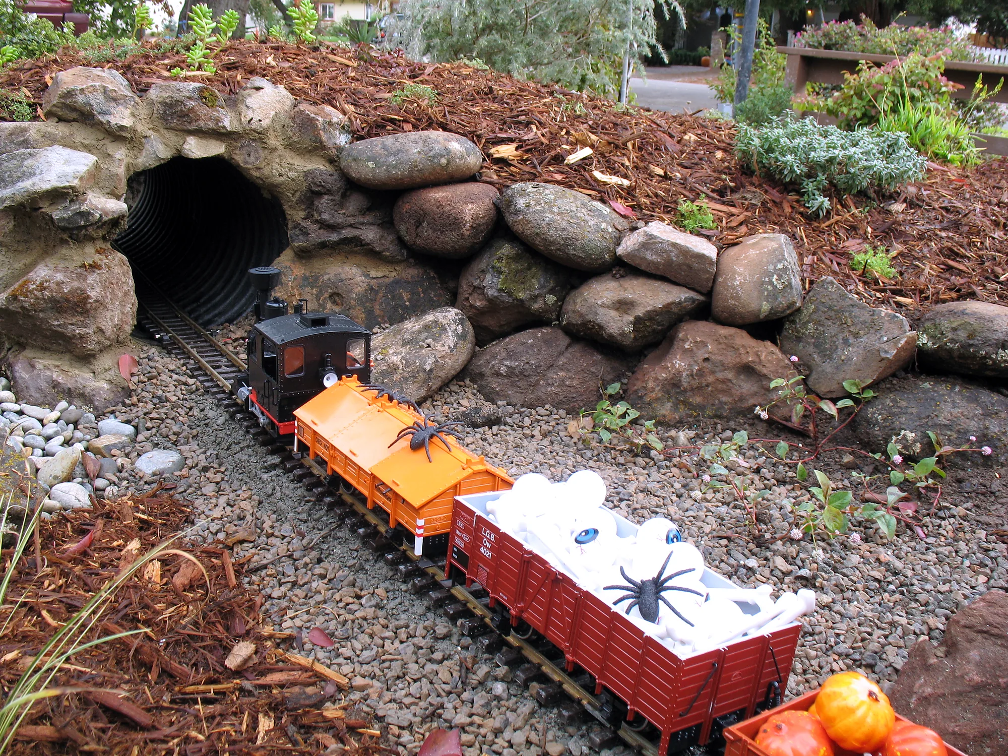 Los Altos family garden — the garden railway emerging from a stone tunnel in the front planting, the engine pulling pumpkin-laden cars