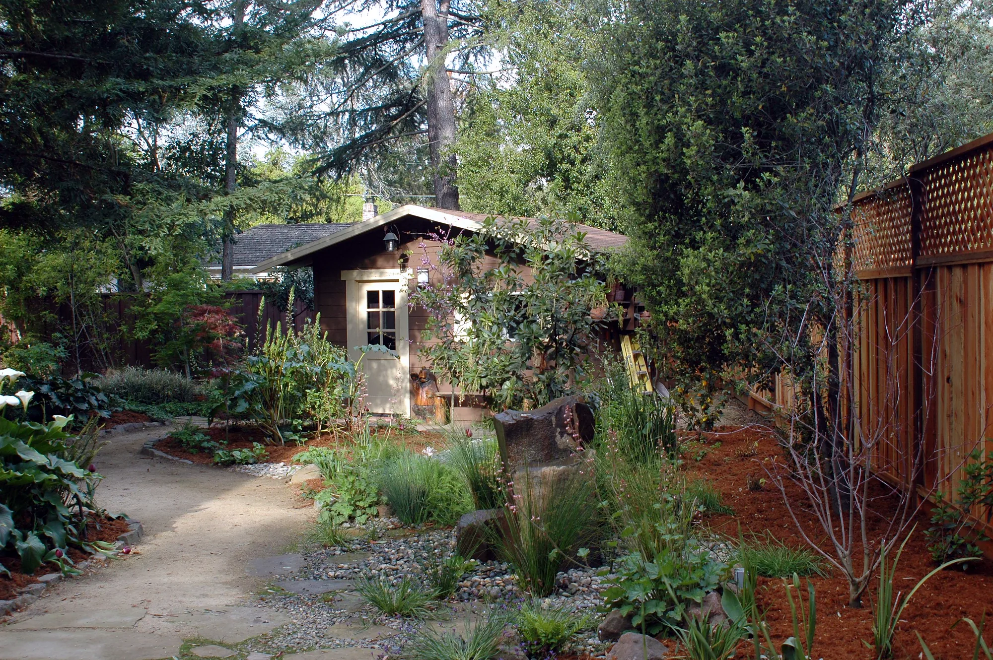 Los Altos family garden — the decomposed-granite path leading to the small garden shed, callas and grasses at its edge