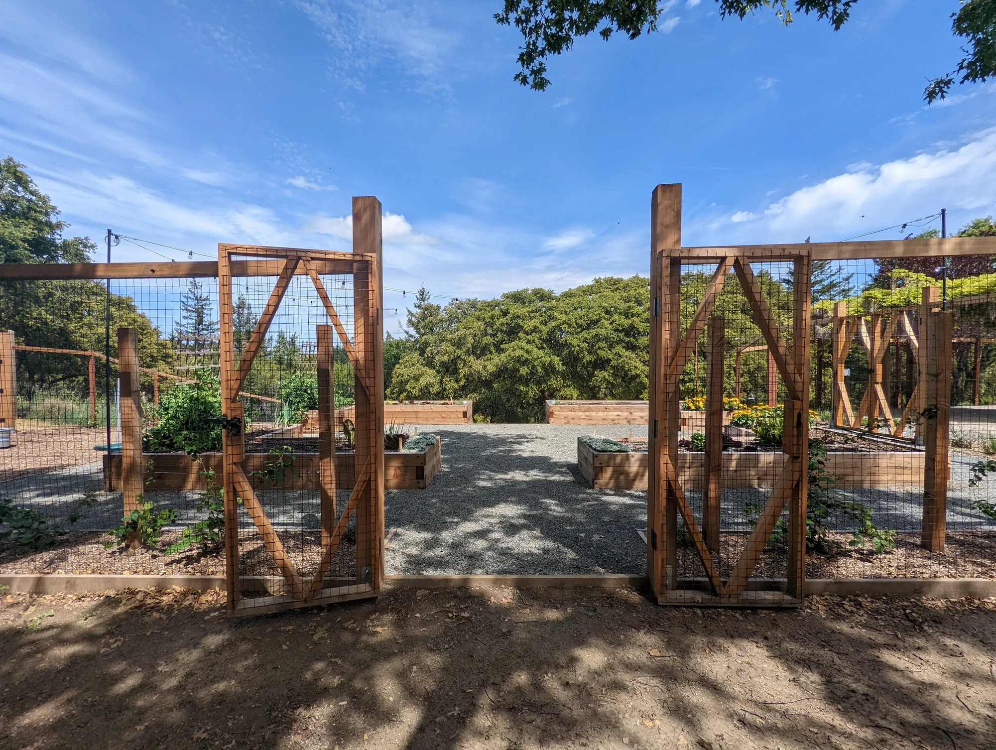 Custom diamond-braced double gates in the deer fence, opening to the raised beds