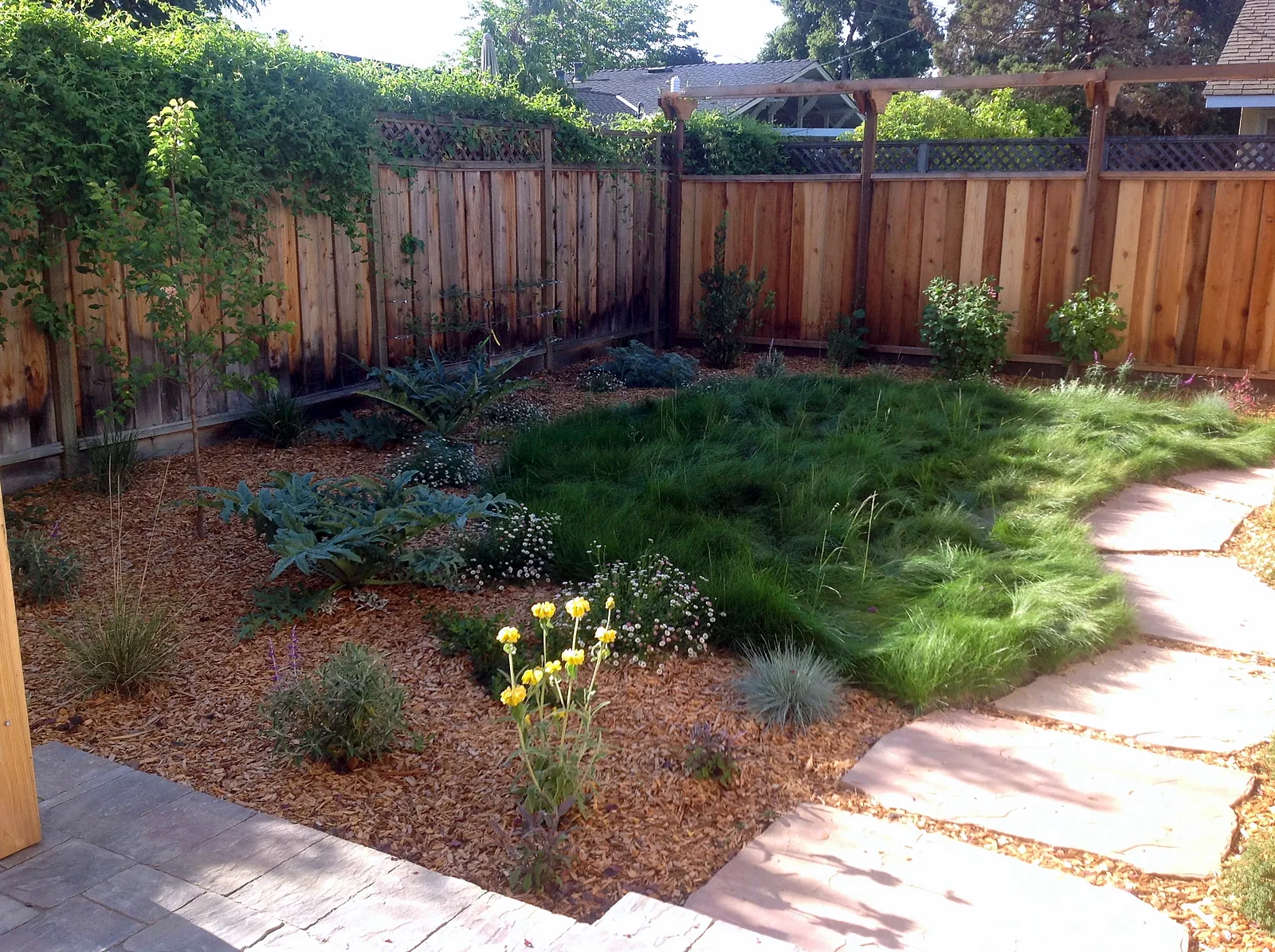 The back corner — no-mow meadow meeting a mulched bed of artichokes, blue oat grass, and yellow phlomis