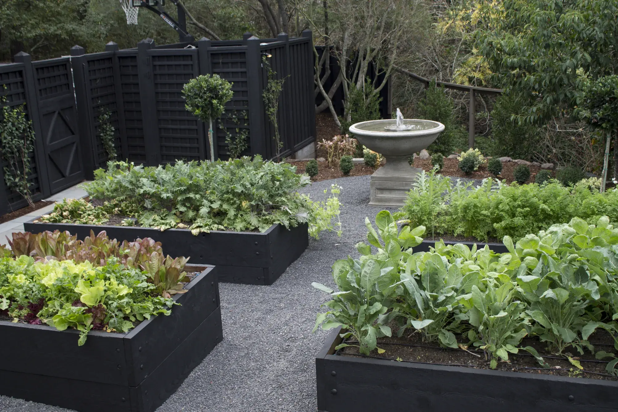 Orinda hillside residence — the kitchen garden in raised beds