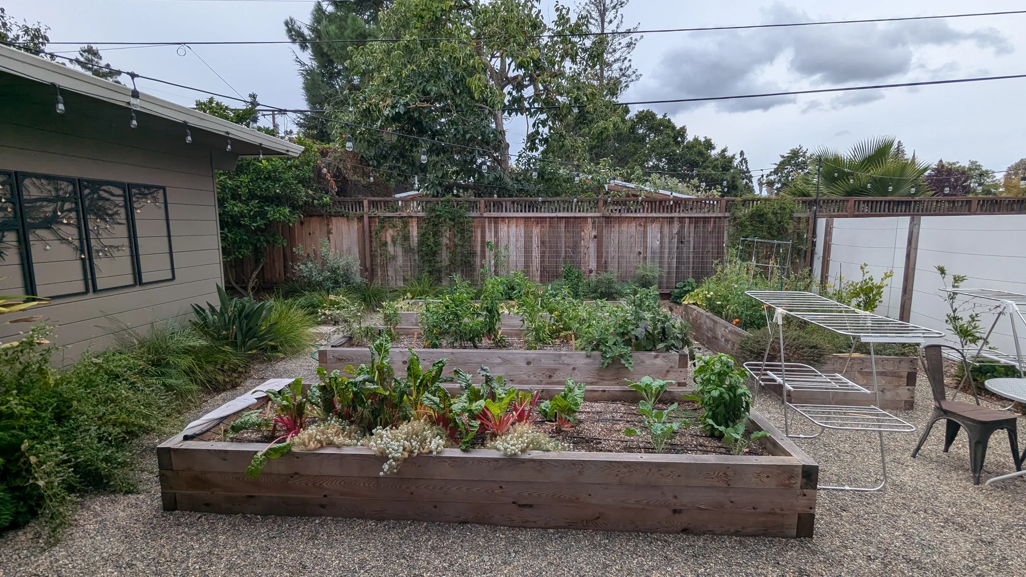Palo Alto Eichler — raised beds of rainbow chard, broccoli, basil, and tomatoes in a back garden