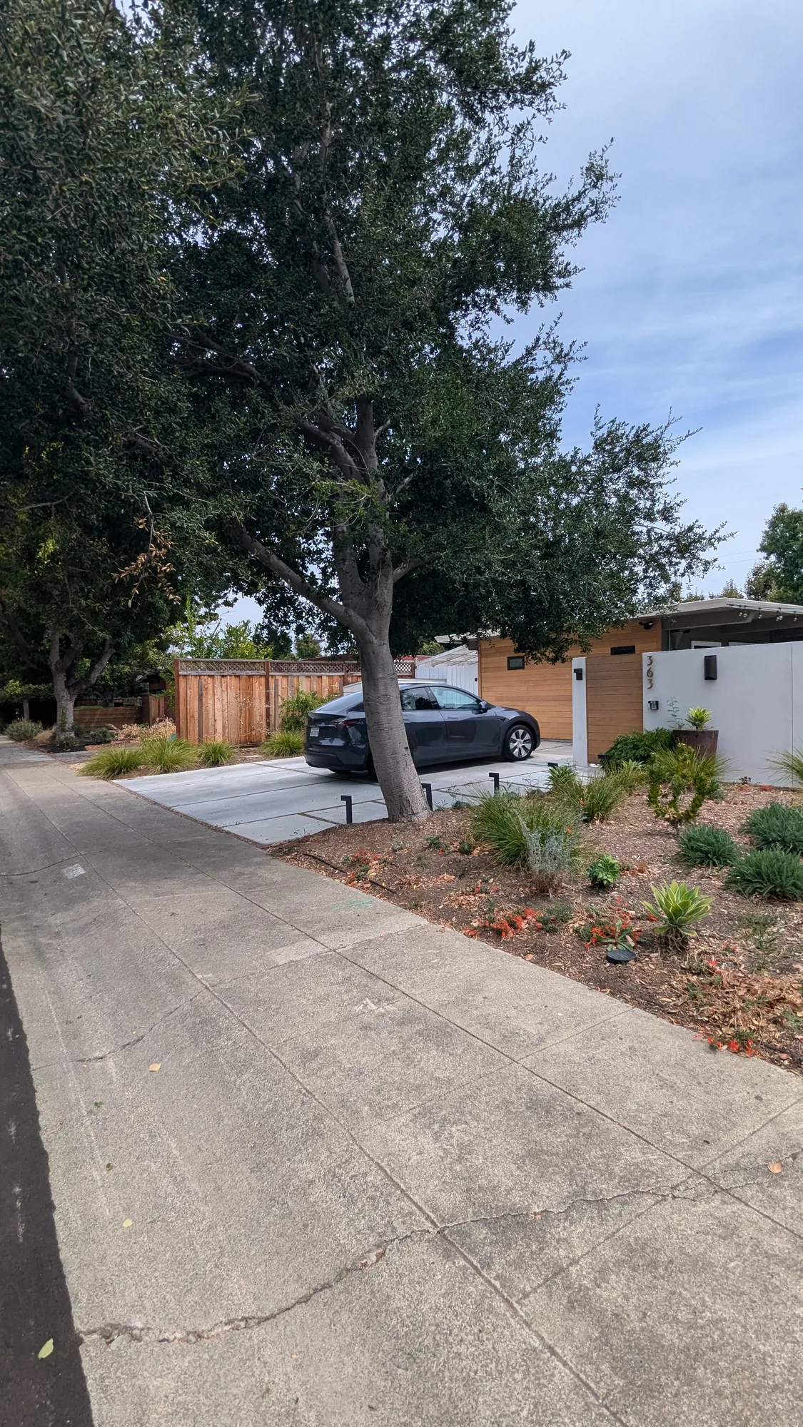 The street view after — the Eichler behind its new low garden