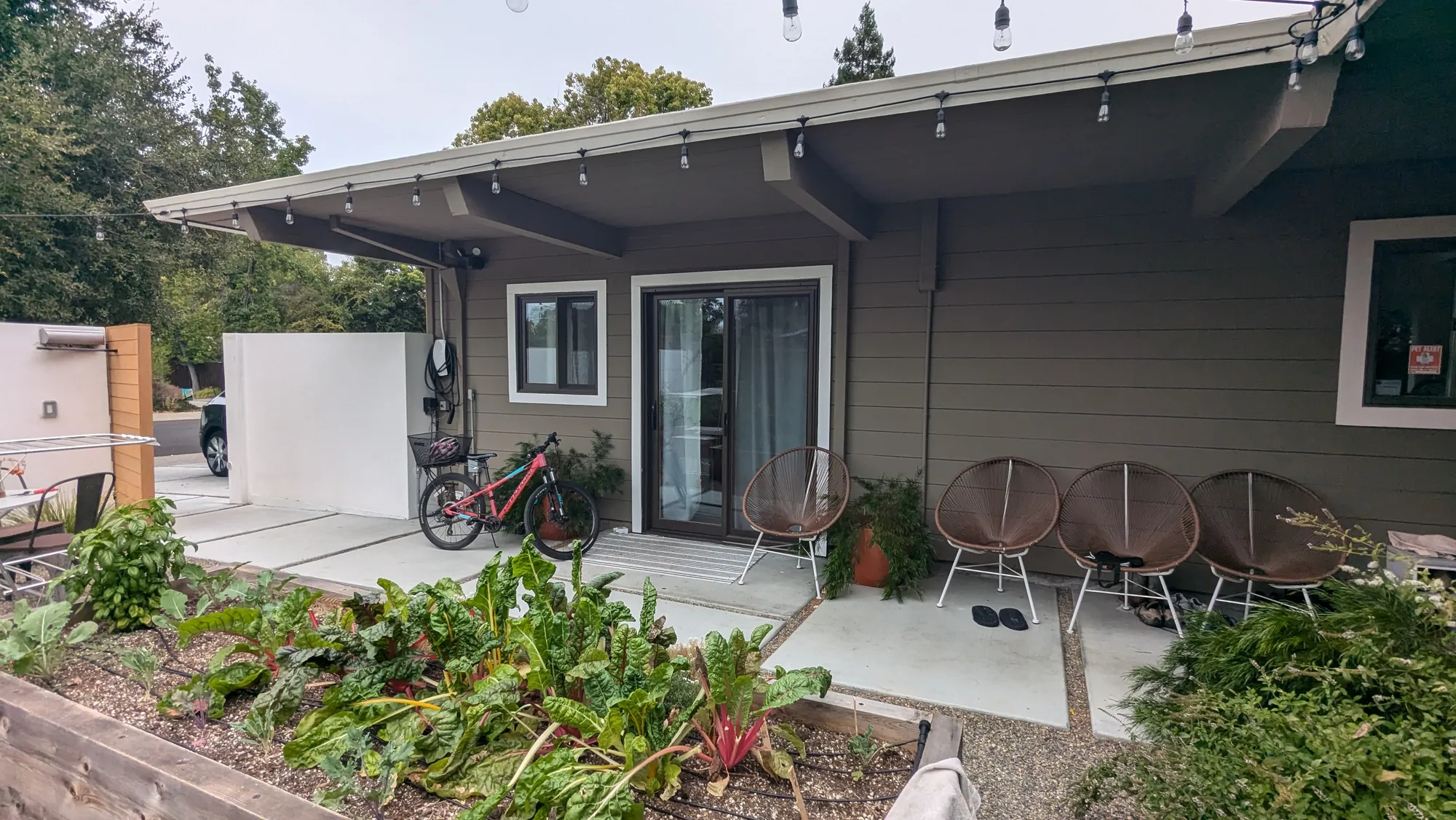 The patio behind the wall — Acapulco chairs and string lights against the Eichler, a chard bed running up to the paving