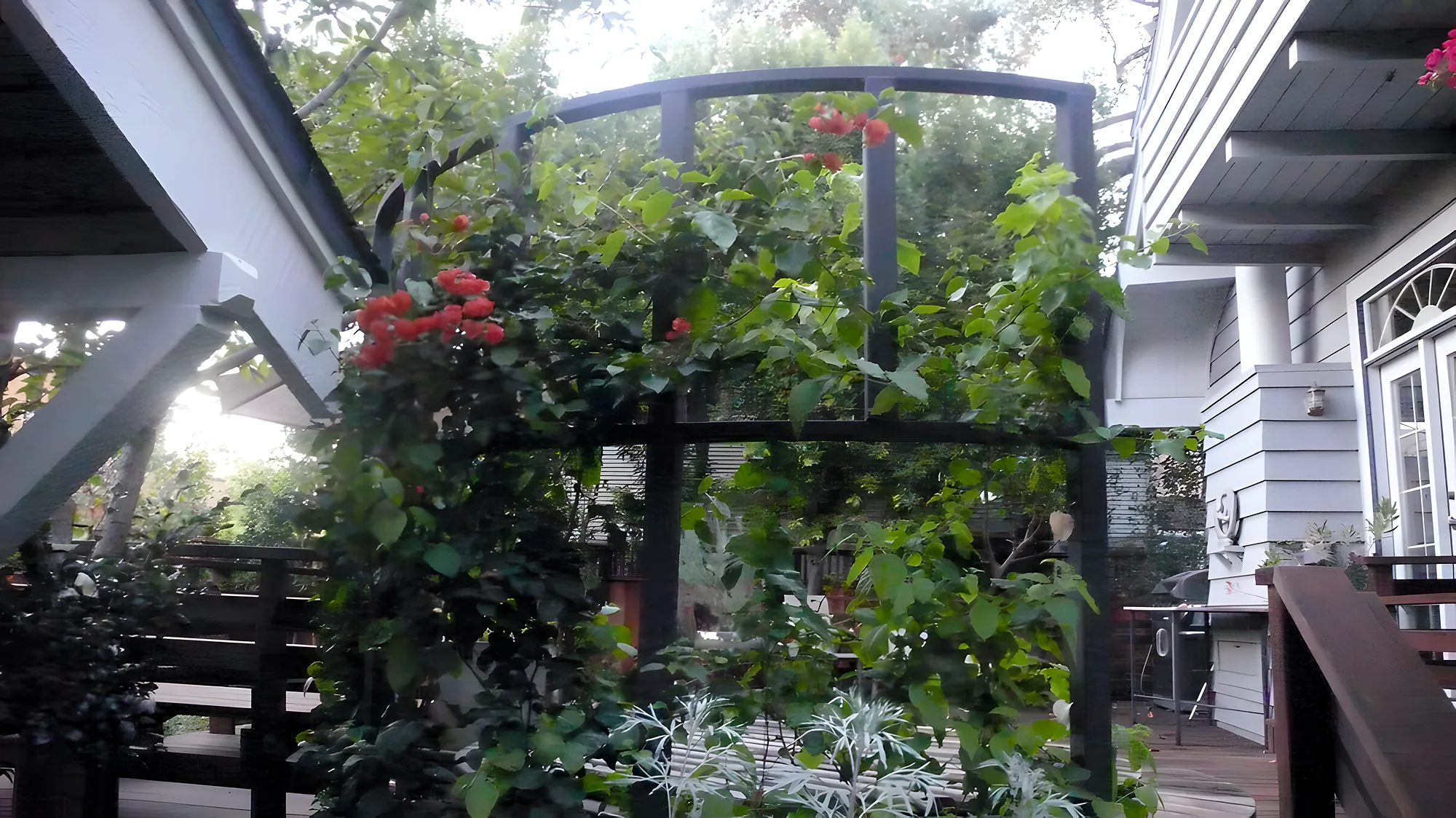 Palo Alto Craftsman — the arched trellis screen around the hot tub, bougainvillea climbing it in red bloom