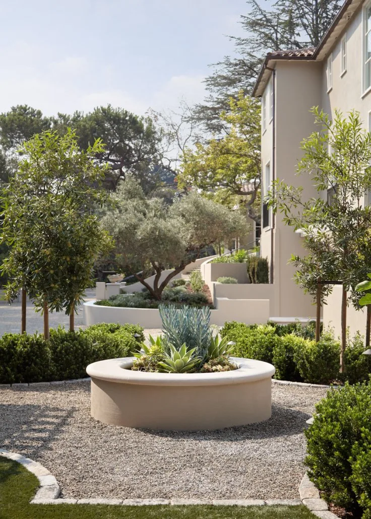 A low round plaster planter of agaves and blue senecio at the center of the gravel court, boxwood and standard olives beyond