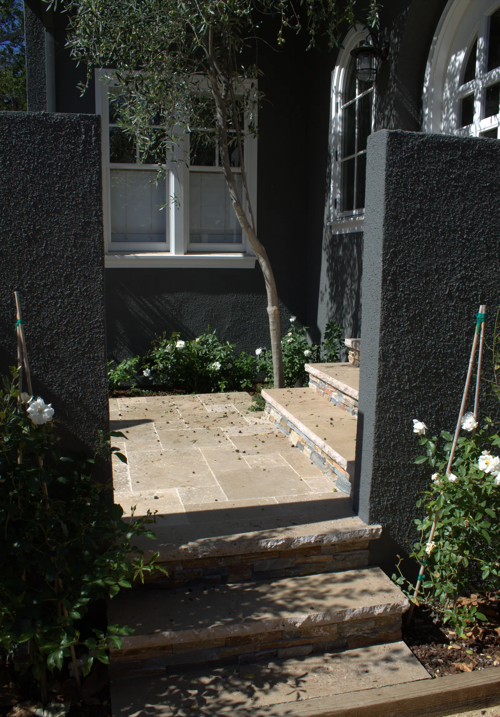 A small entry courtyard between dark stucco walls — travertine paving, stacked-stone steps, an olive overhead and white roses climbing bamboo stakes