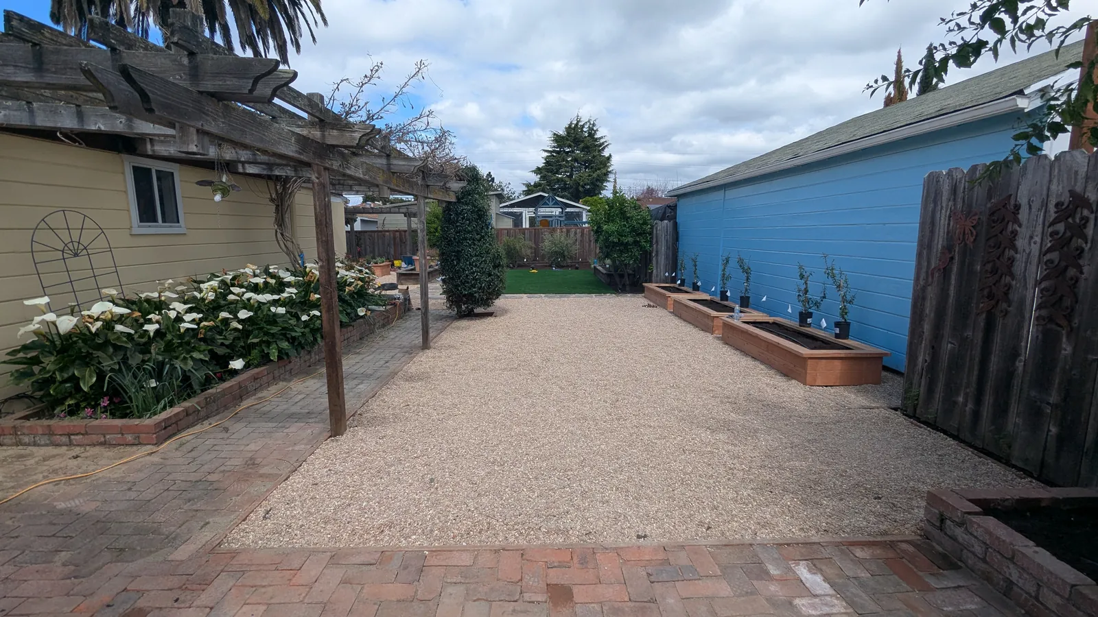 San Leandro Residence — freshly built garden with white calla lilies and new redwood raised beds along a decomposed-granite path toward a pergola