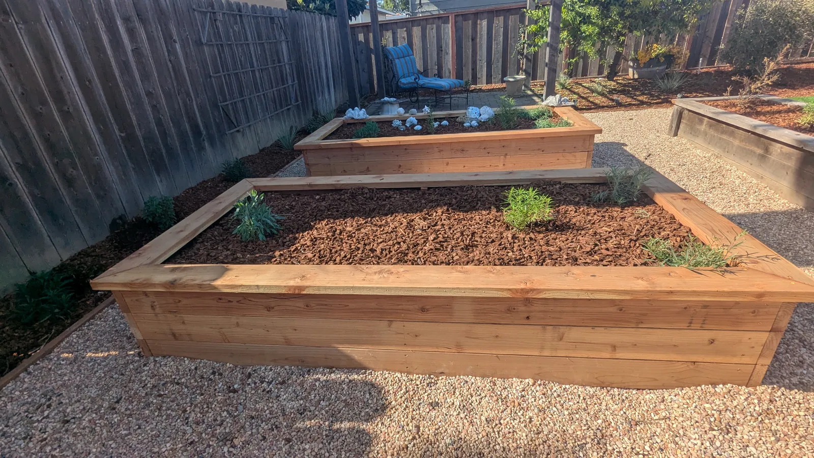 After photo — new raised beds in golden light, replanted as a pollinator and herb garden with fresh mulch, a lounge chair on the patio beyond