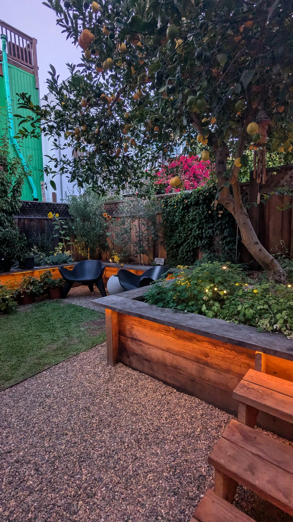 San Francisco Mission District backyard at dusk — timber bench seating lit from beneath beside a gravel path, the lemon tree overhead