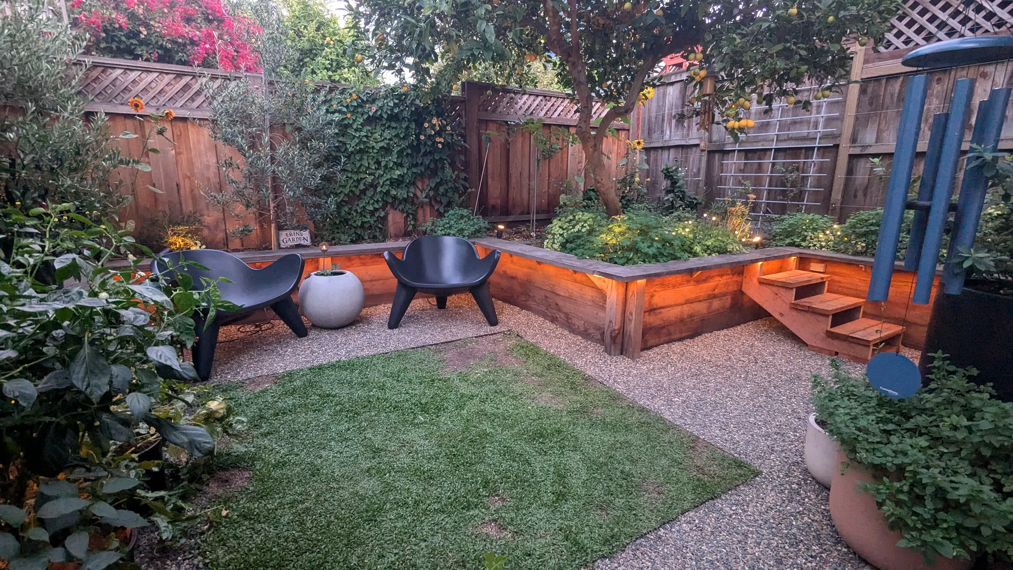 San Francisco Mission District backyard garden at dusk — black chairs on gravel beside a square of lawn, timber bench seating lit from beneath, sunflowers and a fruiting citrus along the fence
