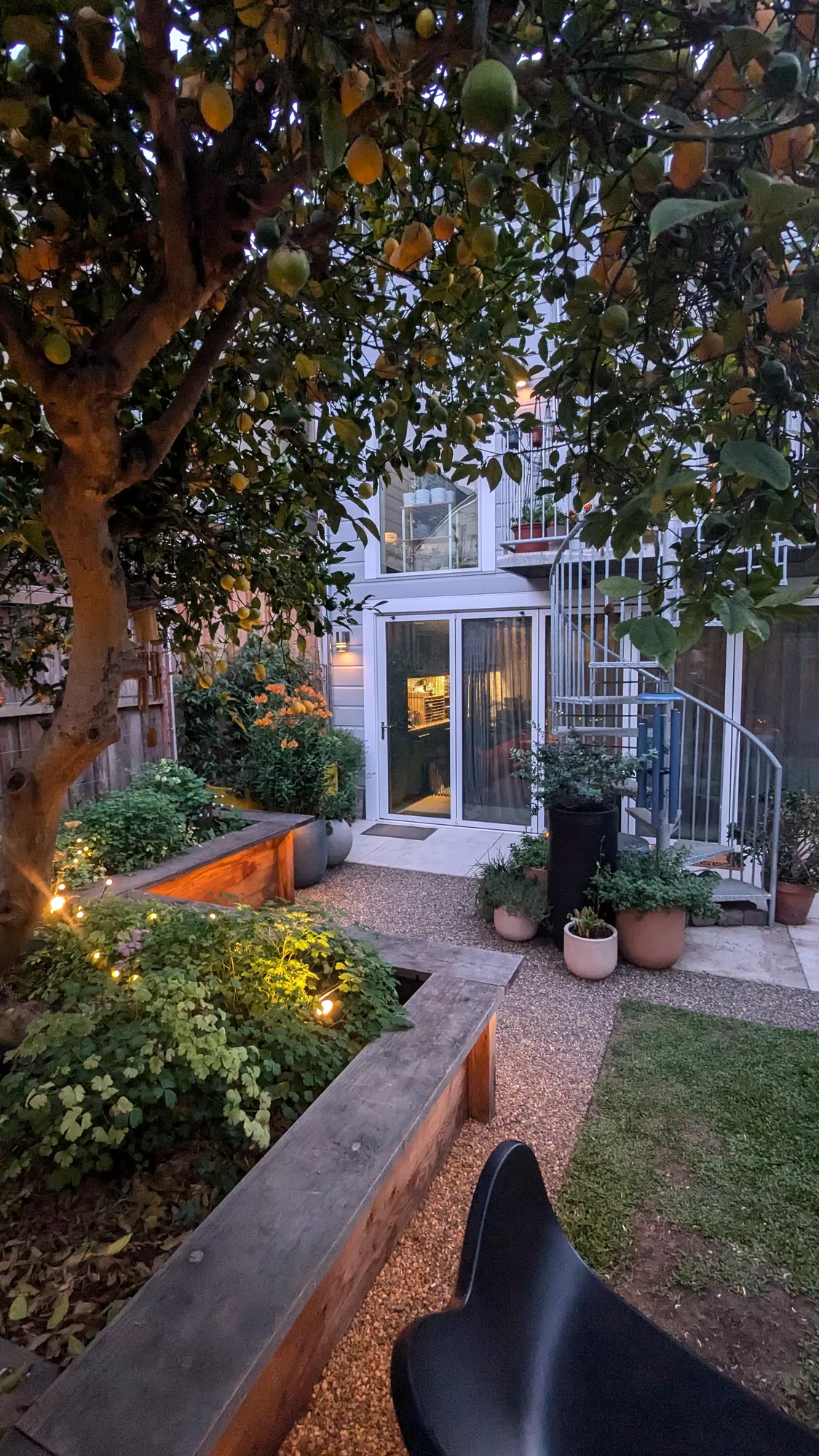 San Francisco Mission District backyard garden — mature lemon tree over a lit lower garden at dusk