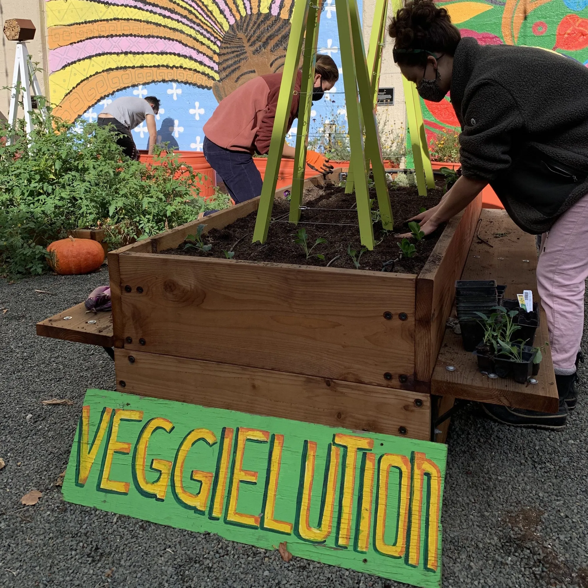 SoFA Pocket Park planting day — volunteers filling a raised wooden bed with seedlings