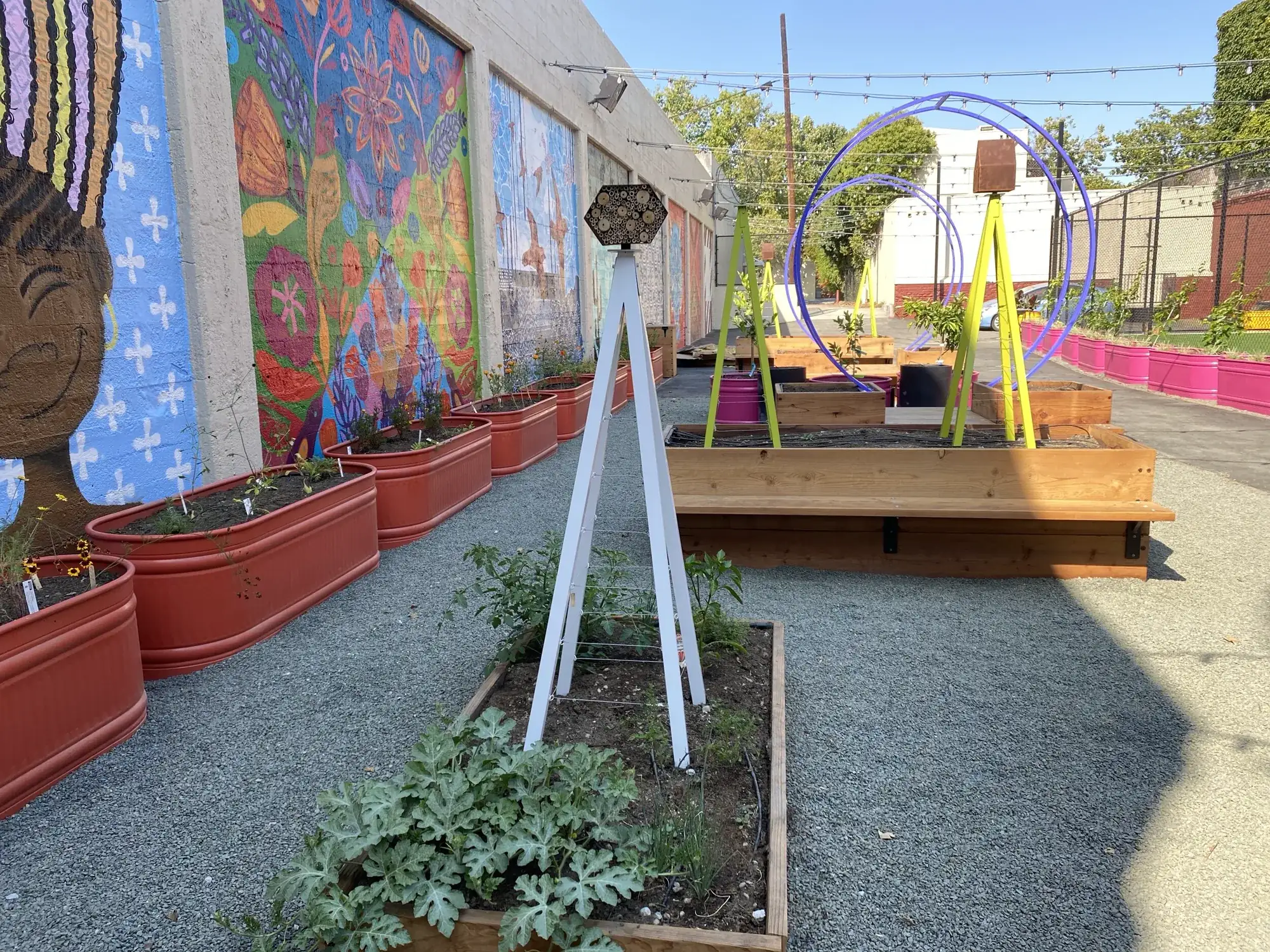 SoFA Pocket Park — the length of the park, steel stock-tank planters along the mural wall, a teepee trellis carrying its pollinator hotel, and blue hoop trellises beyond