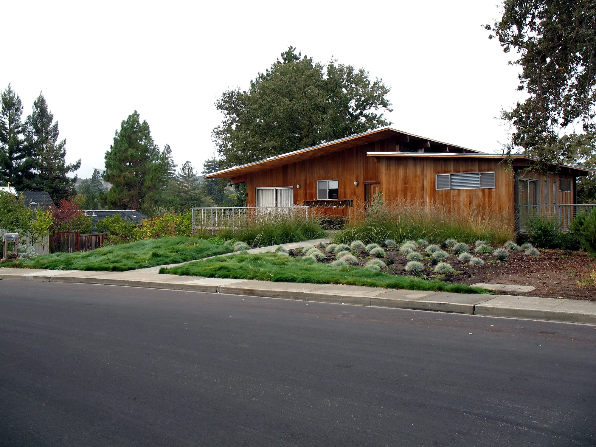 Stanford Residence — the mid-century wood house seen from down the street, a no-mow fescue meadow and mounds of blue fescue running to the sidewalk