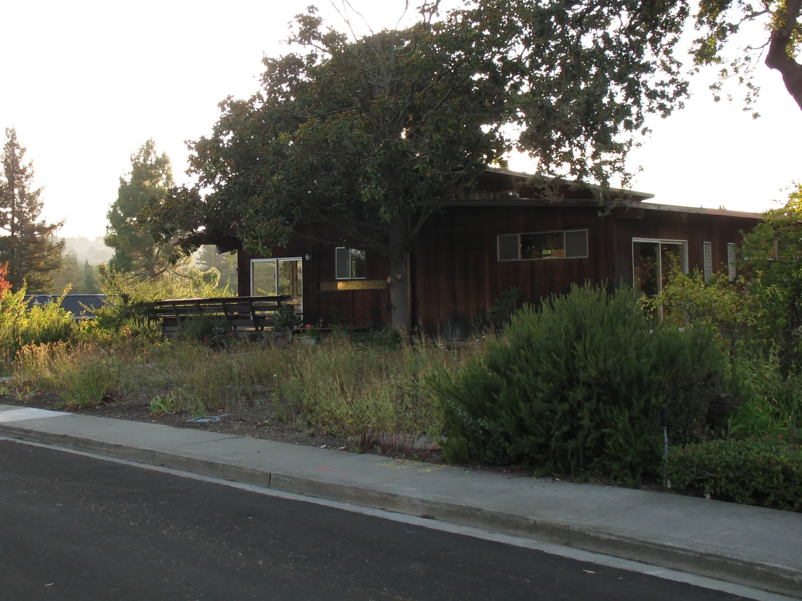 Before — the front of the house from across the street, dark stained siding above a verge of overgrown rosemary and dry weeds